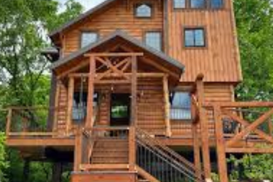 TreeHouse Villas in Jigawa state